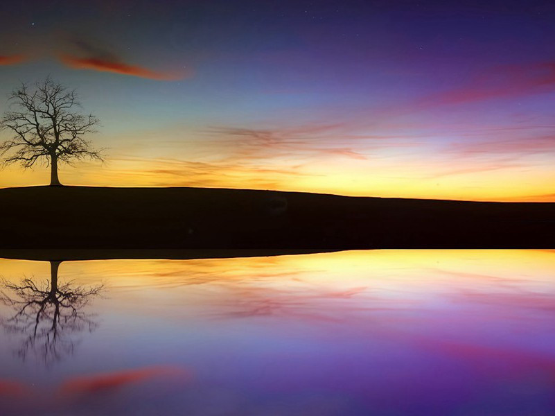 辇前才人带弓箭,白马嚼啮黄金勒的意思出处赏析