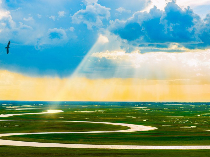 《望岳》古诗翻译赏析-杜甫古诗