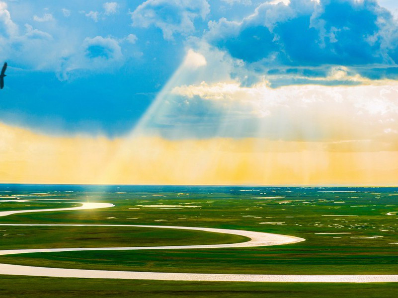 忆昔霓旌下南苑,苑中万物生颜色的意思出处赏析