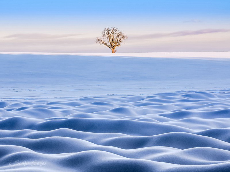 《丹青引赠曹将军霸》古诗翻译赏析-杜甫古诗