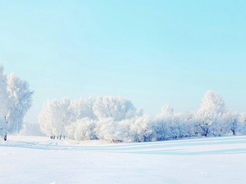 汉文有道恩犹薄,湘水无情吊岂知出处意思赏析