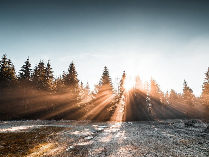 其人虽已没,千载有馀情出处意思赏析