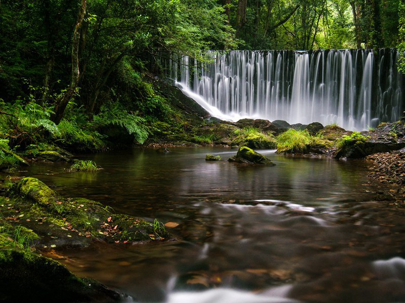 生女犹得嫁比邻,生男埋没随百草的出处意思赏析
