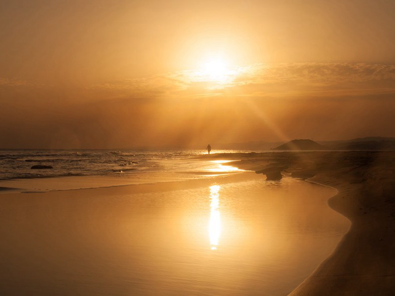 《山中送别》古诗翻译赏析-王维古诗