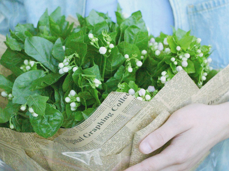 会当凌绝顶,一览众山小的出处意思赏析