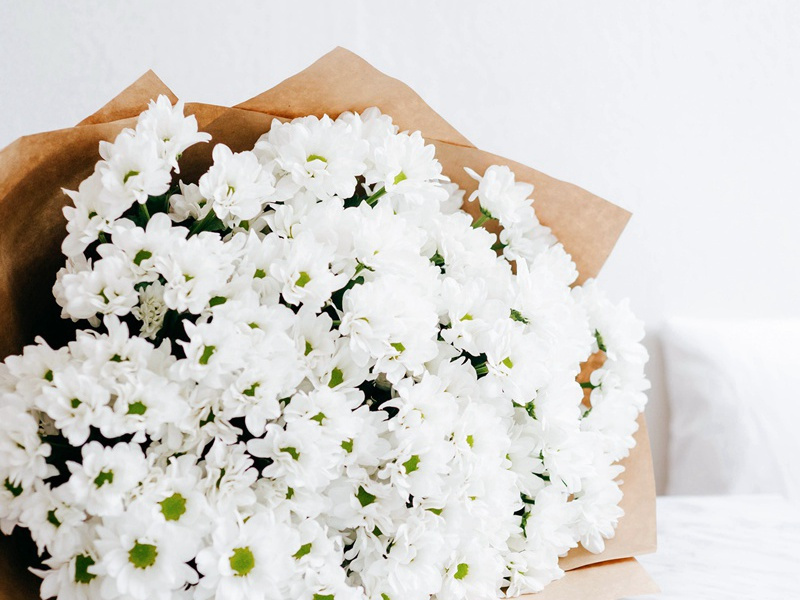 流星白羽腰间插,剑花秋莲光出匣出处意思赏析