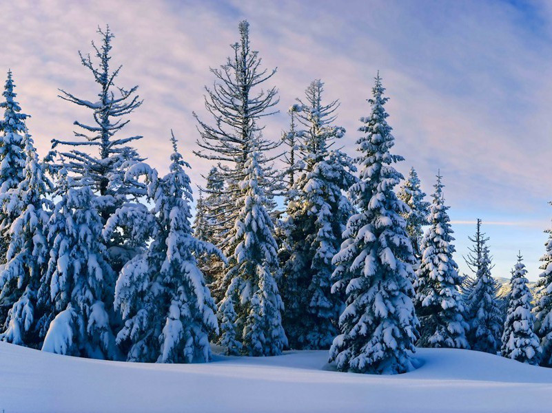 《雨霖铃·寒蝉凄切》原文,宋)柳永古诗