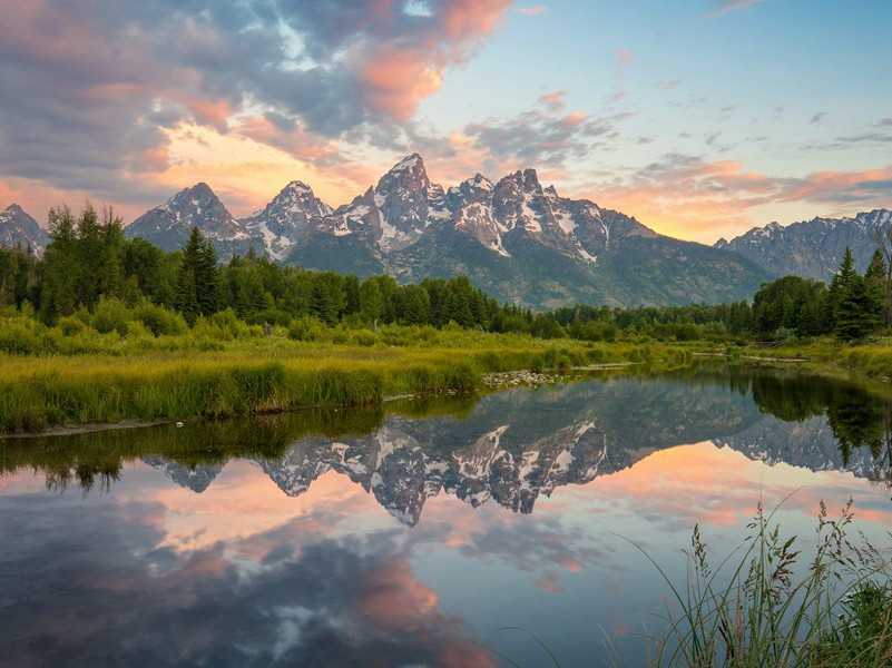 《春望》古诗翻译赏析-杜甫古诗