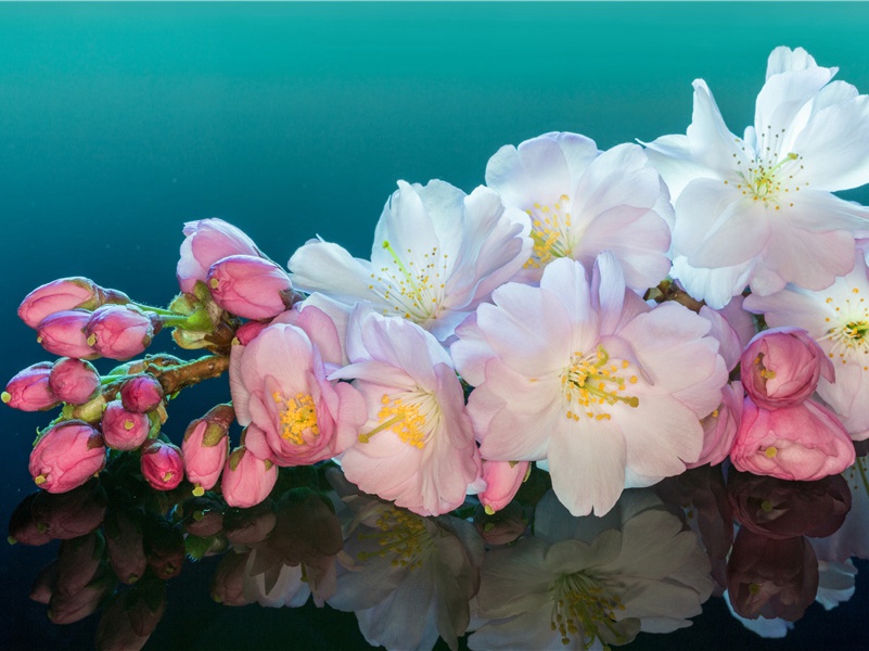 山随平野尽,江入大荒流的出处意思赏析