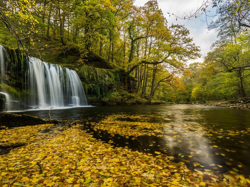 淡扫明湖开玉镜,丹青画出是君山出处意思赏析