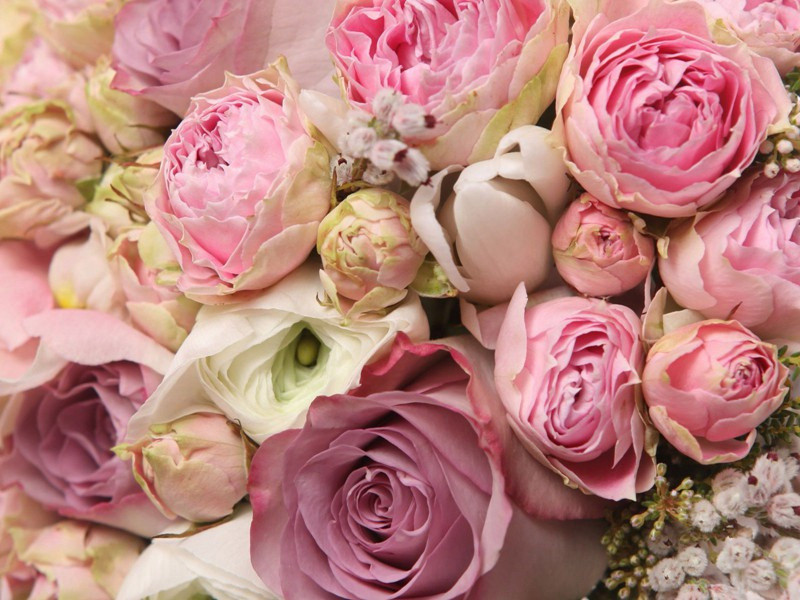 《浪淘沙·疏雨洗天清》原文,宋)邓剡古诗