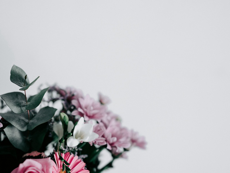 魂飞庾岭春难辨,霞隔罗浮梦未通出处意思赏析