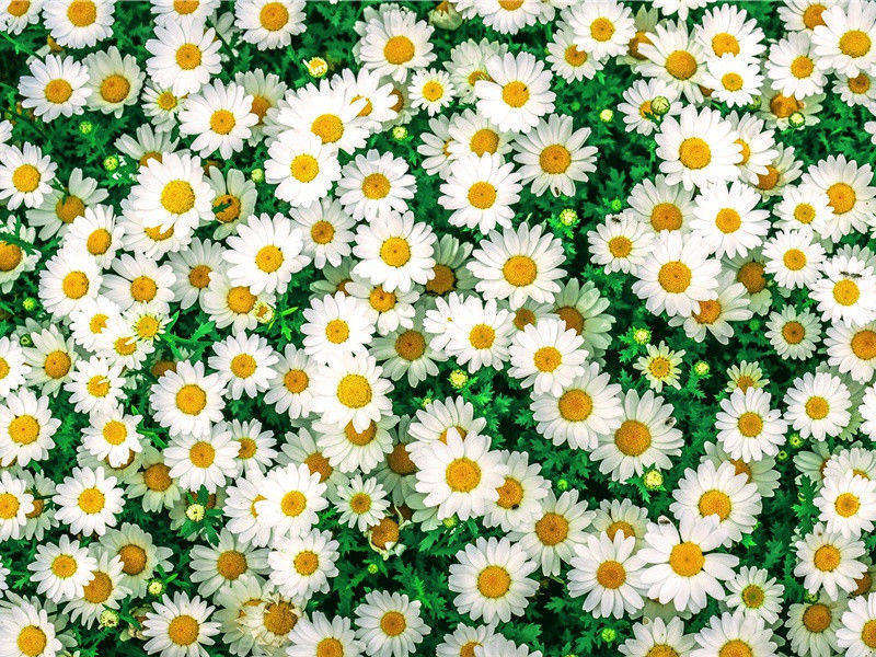 吴楚东南坼,乾坤日夜浮名句出处赏析故事