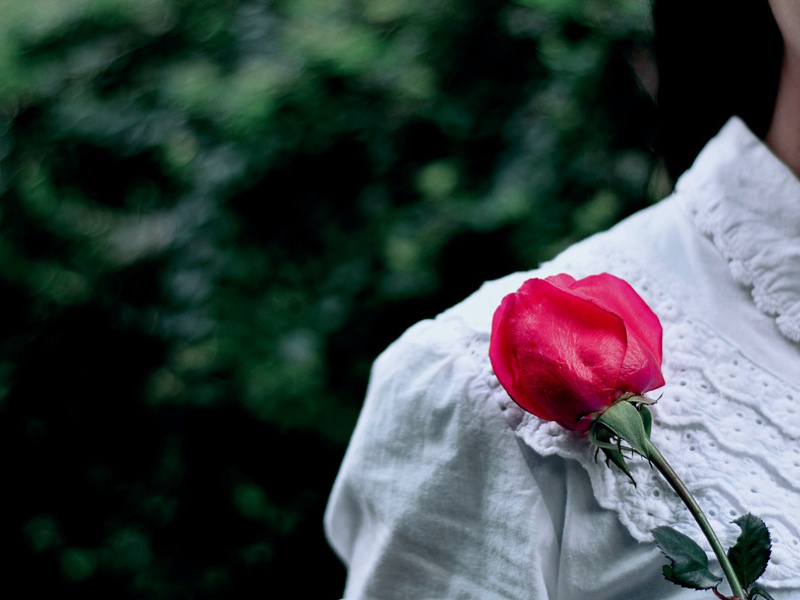 《杂诗·其八》代耕本非望)原文赏析-陶渊明古诗-魏晋诗歌