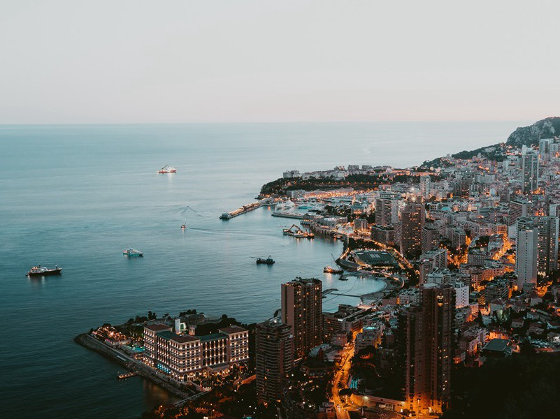 宁可枝头抱香死,何曾吹落北风中出处翻译赏析