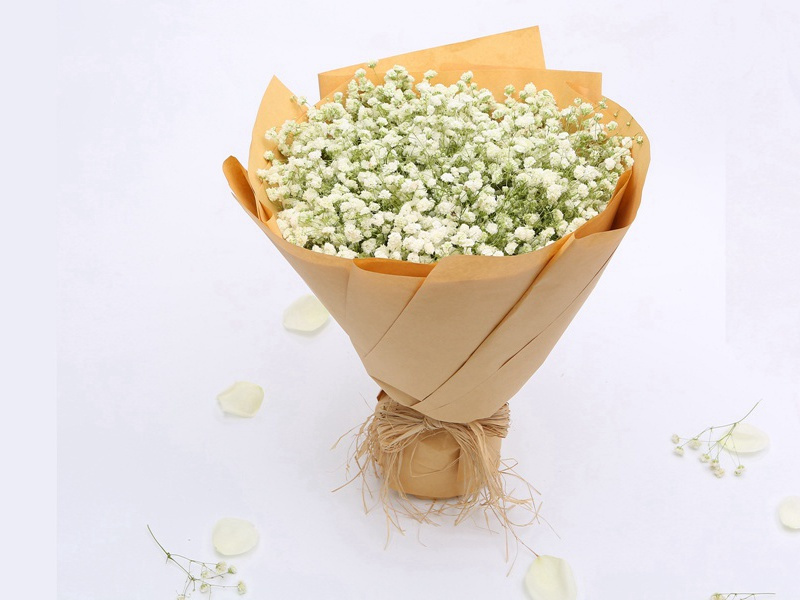 长和菊花酒,高宴奉西清出处意思赏析