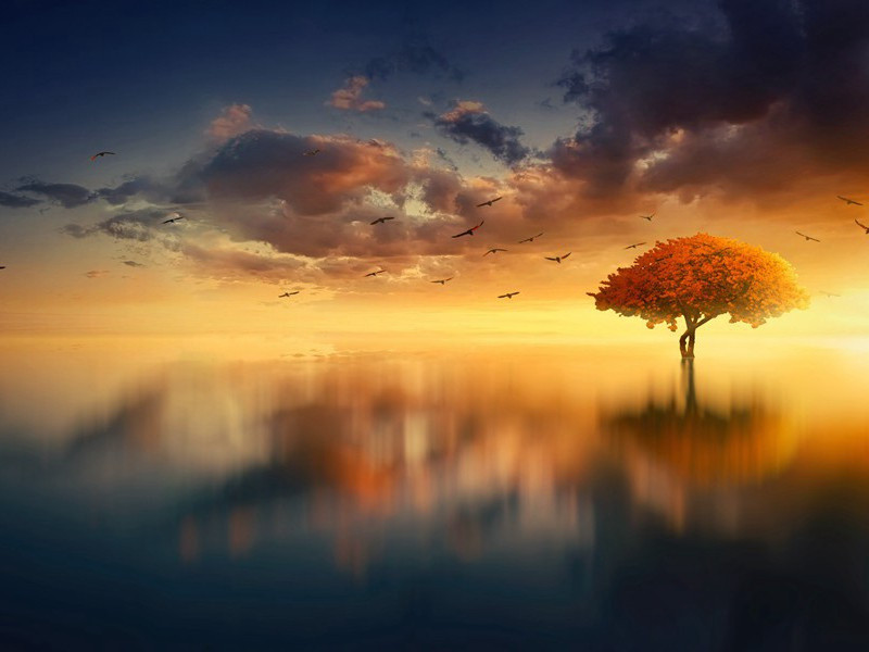 风波不信菱枝弱,月露谁教桂叶香出处意思赏析