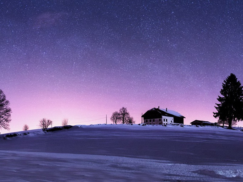 故人具鸡黍,邀我至田家出处翻译赏析