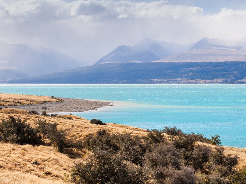 年年越溪女,相忆采芙蓉出处意思赏析