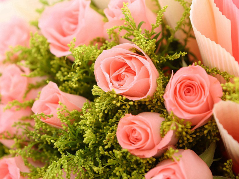 《浪淘沙·疏雨洗天清》原文,宋)邓剡古诗