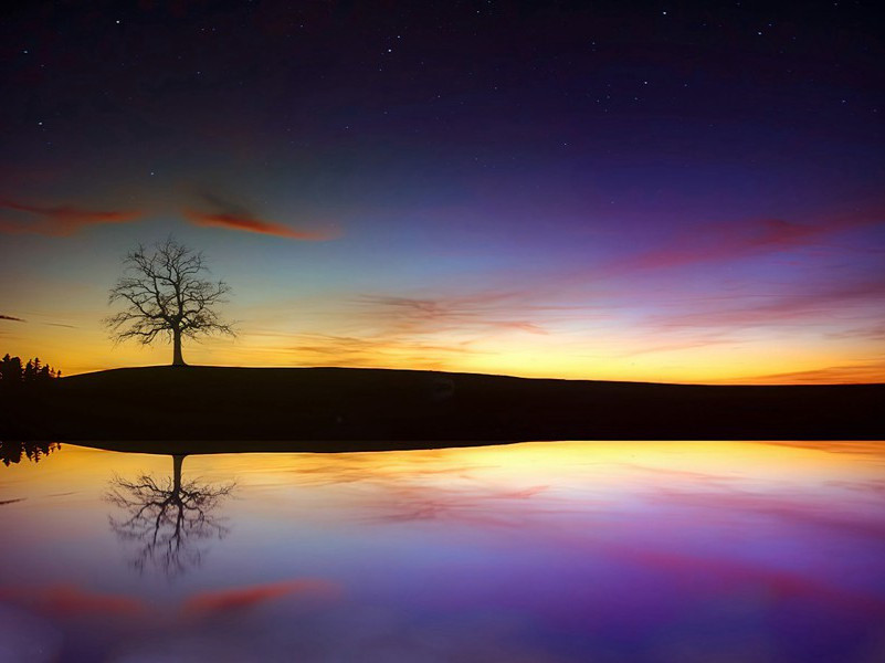 不知天外雁,何事乐长征出处意思赏析