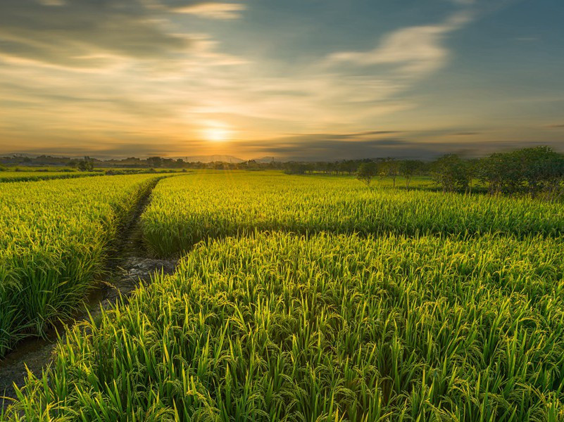 《宿府》古诗翻译赏析-杜甫古诗
