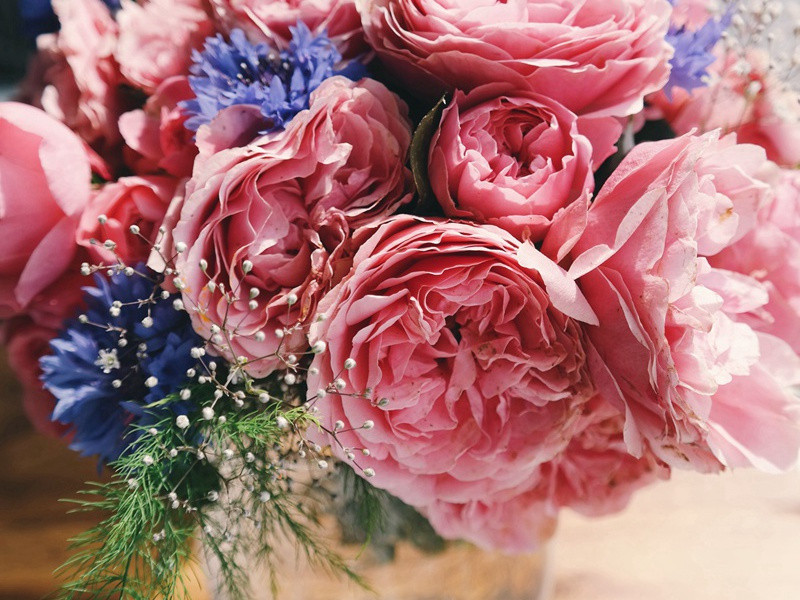 江村独归处,寂寞养残生的出处意思赏析