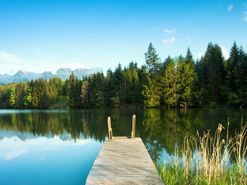 长安城头头白乌,夜飞延秋门上呼的出处意思赏析