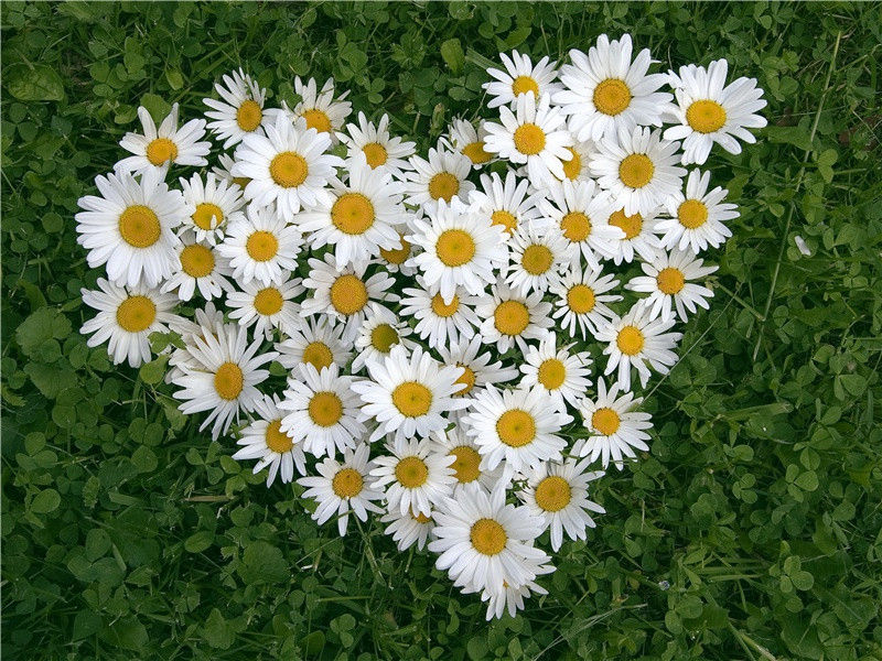 《隋书》简介:纪传体断代史