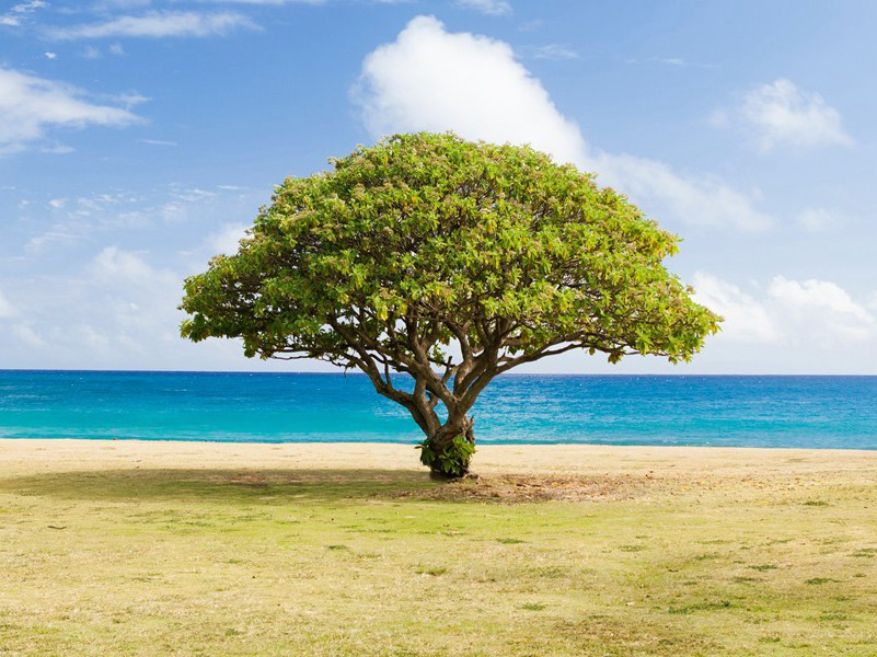 《昼夜乐·洞房记得初相遇》原文,宋)柳永古诗