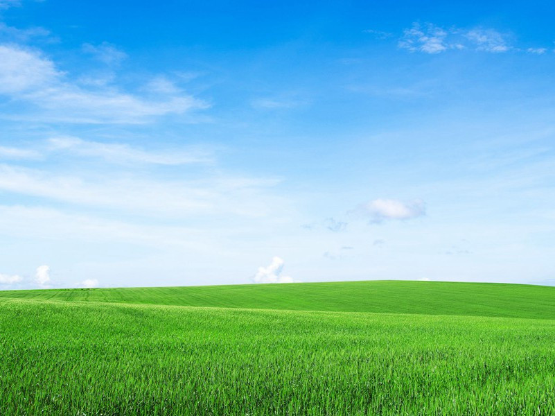 《鹤冲天·黄金榜上》原文翻译赏析,宋)柳永古诗