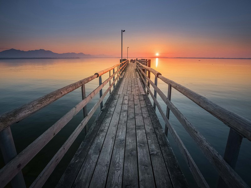 风枝惊暗鹊,露草泣寒蛩的意思出处赏析