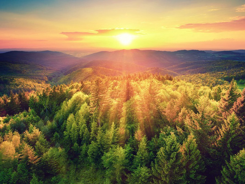 《桐叶封弟辩》原文翻译赏析-唐·柳宗元