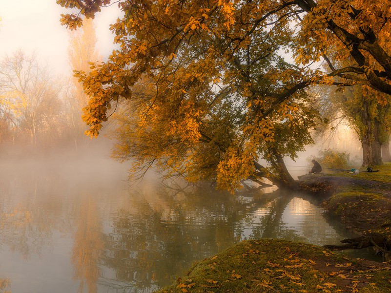 拊膺呼苍天,生死将奈向出处意思赏析