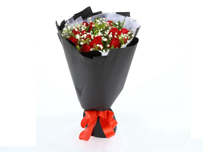 下年再有新生者,十丈龙孙绕凤池出处意思赏析