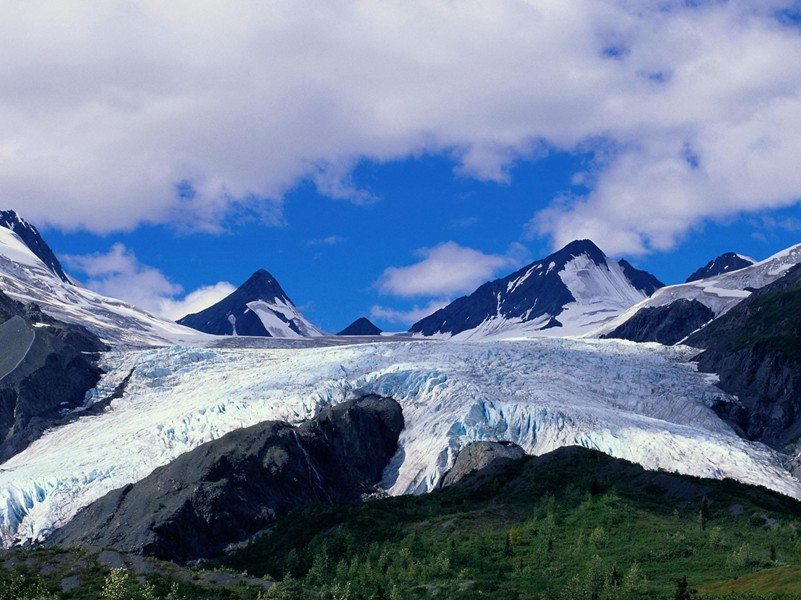 令公桃李满天下,何用堂前更种花出处意思赏析