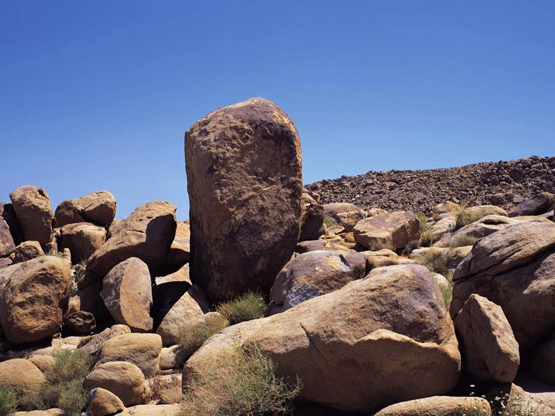 春来遍是桃花水,不辨仙源何处寻出处翻译赏析