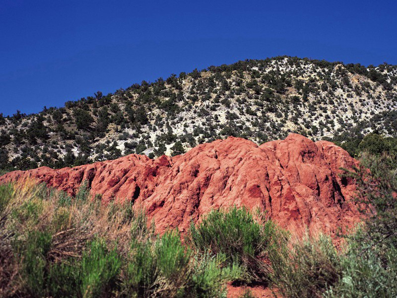 途穷反遭俗眼白,世上未有如公贫的出处意思赏析