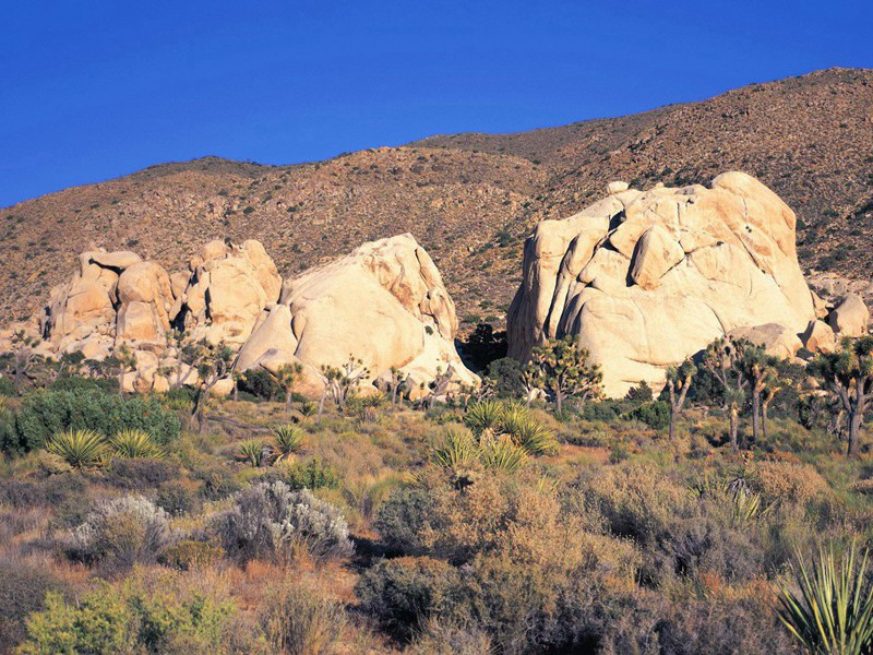 似此星辰非昨夜,为谁风露立中宵出处意思赏析