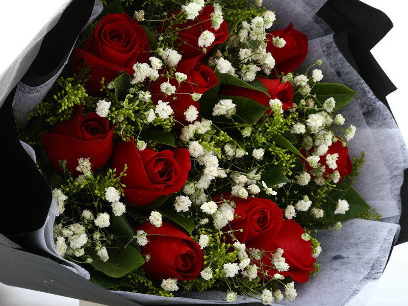 《临江仙·自洛阳往孟津道中作》原文,宋)元好问古诗