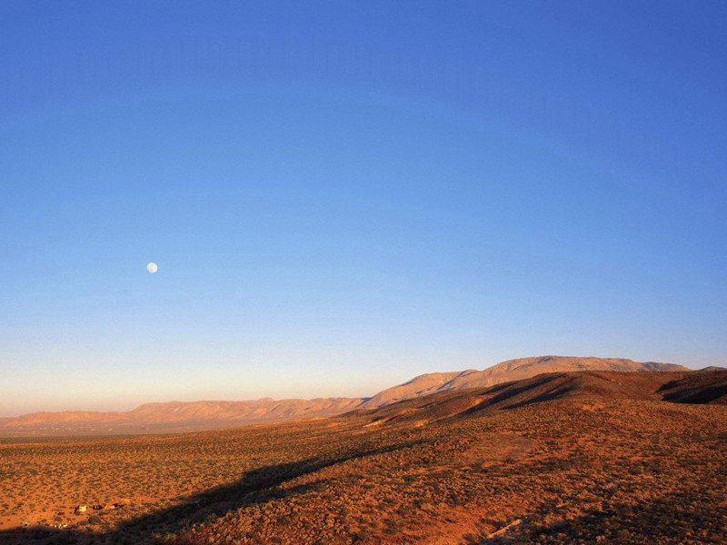 漆燕黄鹂夸舌健,柳花榆荚斗身轻出处意思赏析
