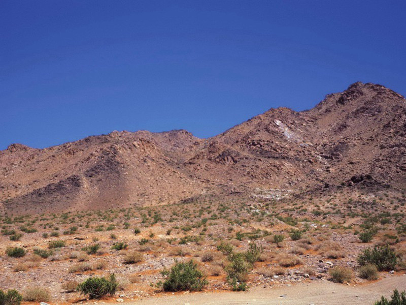 足蒸暑土气,背灼炎天光的意思出处赏析
