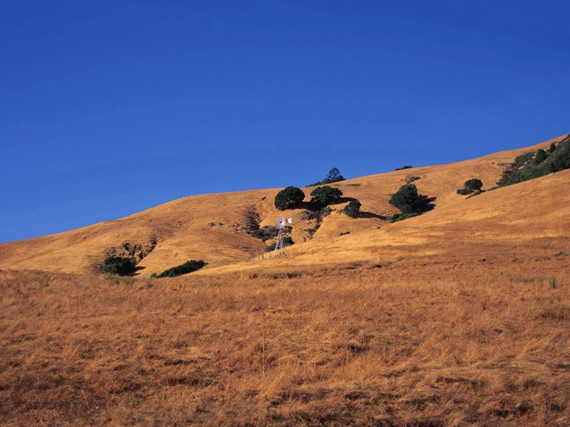 日月之行,若出其中的出处意思赏析