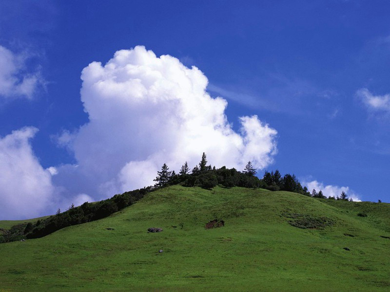 月明全见芦花白,风起遥闻杜若香出处意思赏析