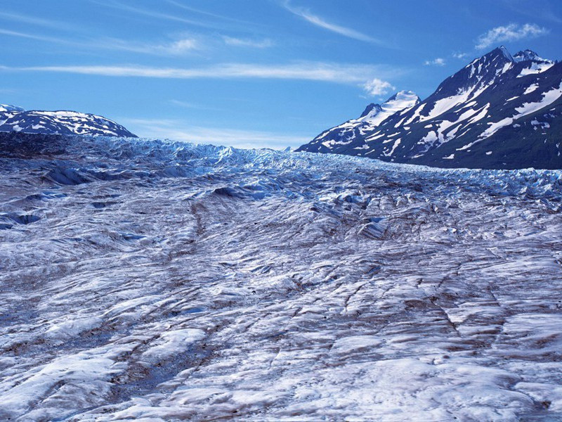 朱弦已为佳人绝,青眼聊因美酒横出处意思赏析