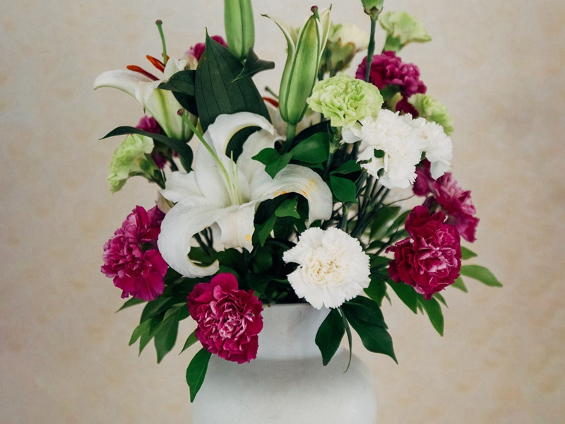 杨花雪落覆白蘋,青鸟飞去衔红巾的意思出处赏析