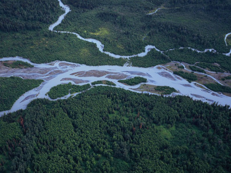 春无踪迹谁知,除非问取黄鹂出处意思赏析