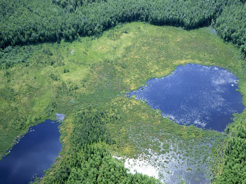 《诉衷情·寒食》原文,宋)仲殊古诗