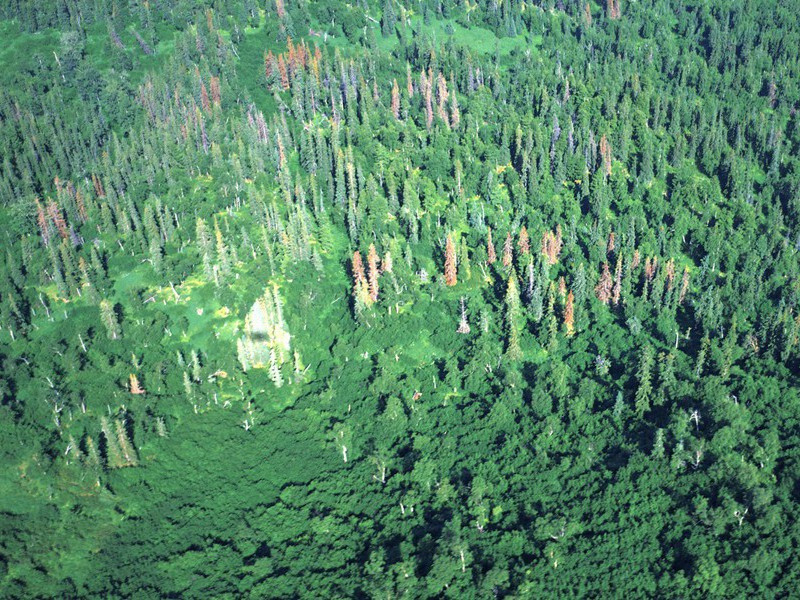 广陵城里昔繁华,炀帝行宫接紫霞出处意思赏析