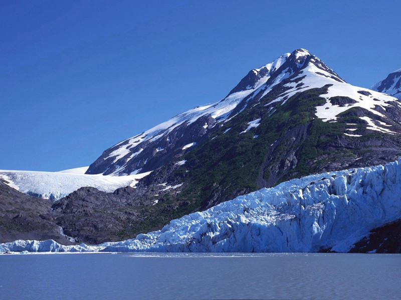 小园东,花共柳,红紫又一齐开了的意思出处赏析